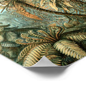 Kunstformen der Natur, Filicinae - Ernst Haeckel ポスター (角)