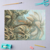 Kunstformen der Natur, Filicinae - Ernst Haeckel 薄葉紙 (クラフト)