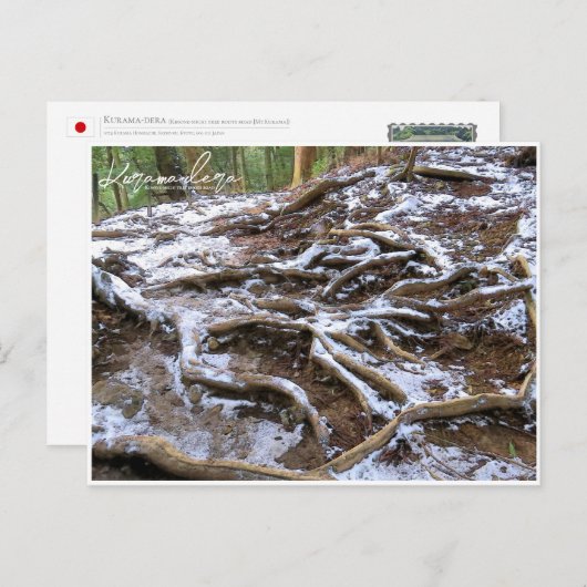 Kurama-dera (Kinone-michi tree roots road) ポストカード (正面/裏面)