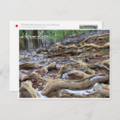 Kurama-dera (Kinone-michi tree roots road) ポストカード (正面/裏面)