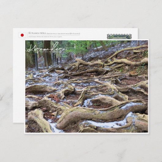 Kurama-dera (Kinone-michi tree roots road) ポストカード (正面/裏面)