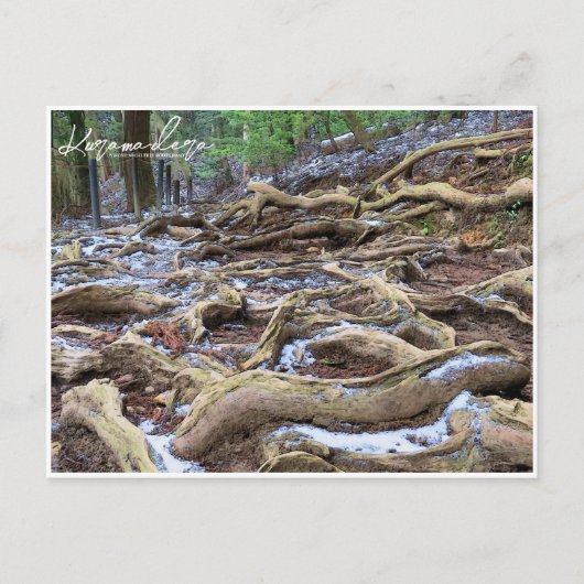 Kurama-dera (Kinone-michi tree roots road) ポストカード (正面)
