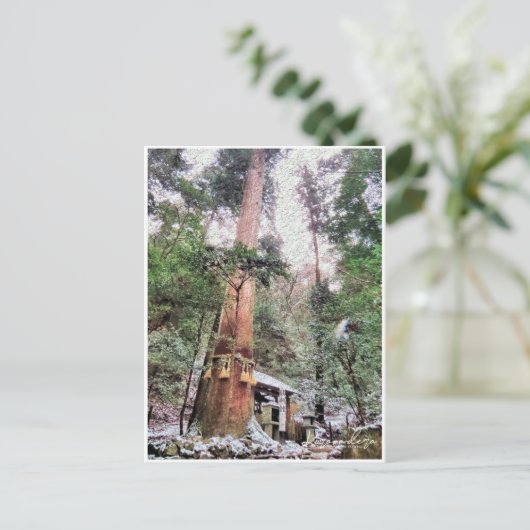 Kurama-dera (Yoshitsune-do hall) ポストカード (スタンド正面)