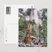 Kurama-dera (Yoshitsune-do hall) ポストカード (正面/裏面)