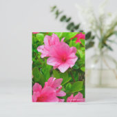 Kurume Azalea ポストカード (スタンド正面)