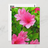Kurume Azalea ポストカード (正面/裏面)