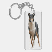 Kurzhaar Collie キーホルダー (正面左)