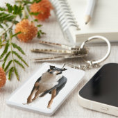 Kurzhaar Collie キーホルダー (正面右)