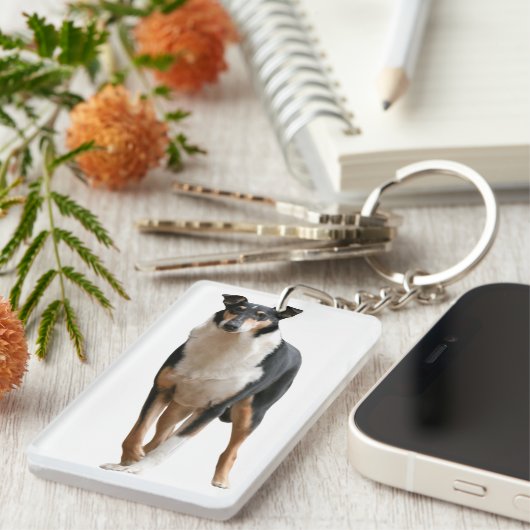 Kurzhaar Collie キーホルダー (正面右)