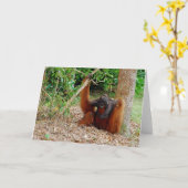 、KusasiキャンプLeakeyの有名なオランウータン王 カード (黄色い花)