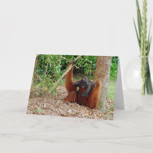 、KusasiキャンプLeakeyの有名なオランウータン王 カード (正面)