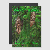 Kuvianak Innovia – コーンとニードル (正面/裏面)