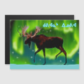 Kuvianak Innovia - Northern Lightsムース (正面/裏面)