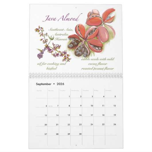 Kwajカレンダー2025 カレンダー (9月 2026)