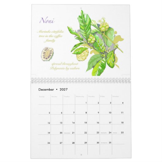 Kwajカレンダー2026 カレンダー (12月 2027)