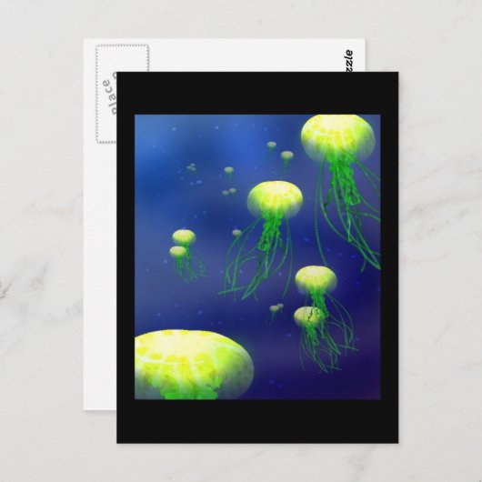 KYは郵便はがきをゼリー状にします ポストカード (正面/裏面)