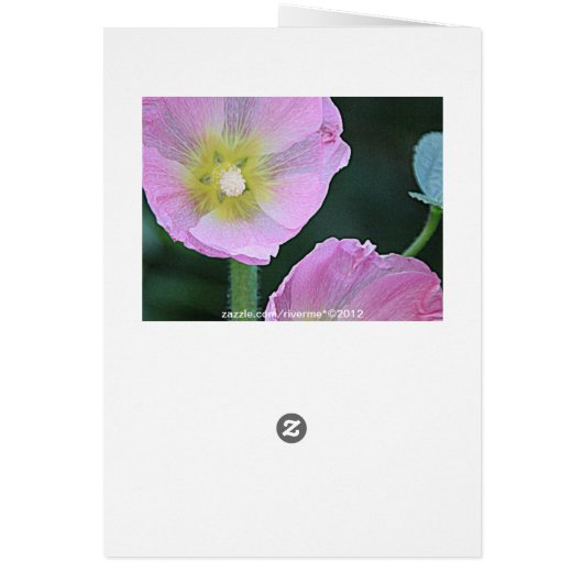 lピンクのHollyhockの花一緒に咲くこと (裏面)