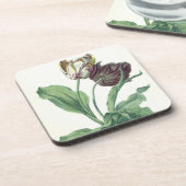 L刻まれる「オペラBotanica」からの庭のチューリップ、 コースター (左側)