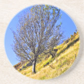 L0NEツリー コースター (正面)