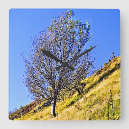 L0NEツリー スクエア壁時計 (正面)