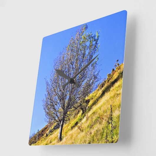 L0NEツリー スクエア壁時計 (傾斜)