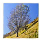 L0NEツリー タイル (正面)