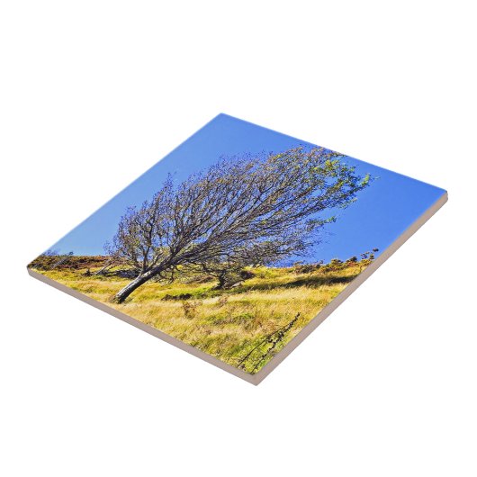 L0NEツリー タイル (側面)