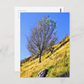 L0NEツリー ポストカード (正面/裏面)