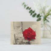 _L0S7918.jpg ポストカード (スタンド正面)