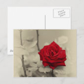 _L0S7918.jpg ポストカード (正面/裏面)