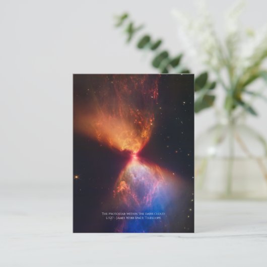 L1527とProtostar - James Webb宇宙望遠鏡 ポストカード (スタンド正面)