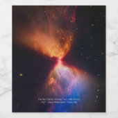 L1527とProtostar - James Webb宇宙望遠鏡 ワインラベル (シングルラベル)