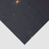 L1527とProtostar - James Webb宇宙望遠鏡 薄葉紙 (詳細)