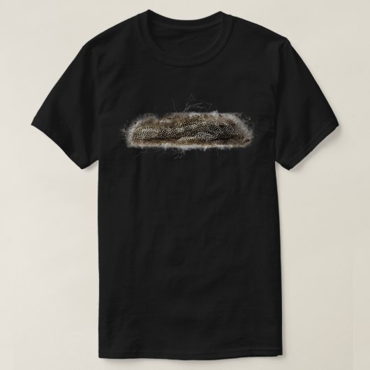 L262ギニホワナマズHyphancistrus sp Tシャツ (デザイン正面)