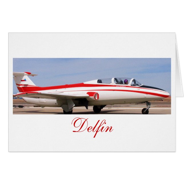 L29 Delfin2、Delfin (正面横)