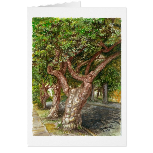 L.Aの古い木 (正面)