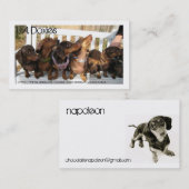 L.A.Doxies [ナポレオン] 名刺 (正面/裏面)
