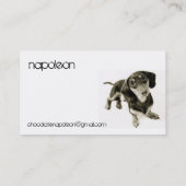 L.A.Doxies [ナポレオン] 名刺 (裏面)