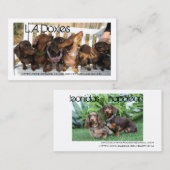 L.A.Doxies [レオ+polie] 名刺 (正面/裏面)