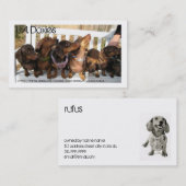 L.A.Doxies [Rufus] 名刺 (正面/裏面)