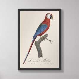 L' Ara Macao /赤と緑のマカオ フォトプリント