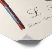 L' Ara Macao /赤と緑のマカオ ポスター (角)