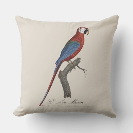 L' Ara Macao / Red and green Macaw  クッション (正面)
