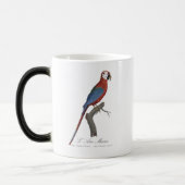 L' Ara Macao / Red and green Macaw  モーフィングマグカップ (左)