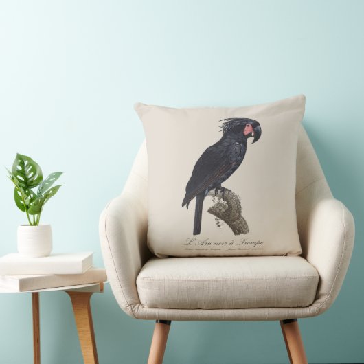 L' Ara Noir a Trompe クッション (椅子)