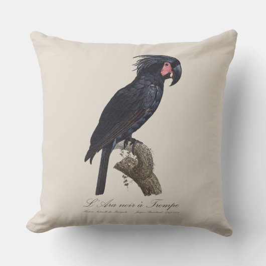 L' Ara Noir a Trompe クッション (正面)