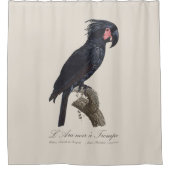 L' Ara Noir a Trompe シャワーカーテン (正面)