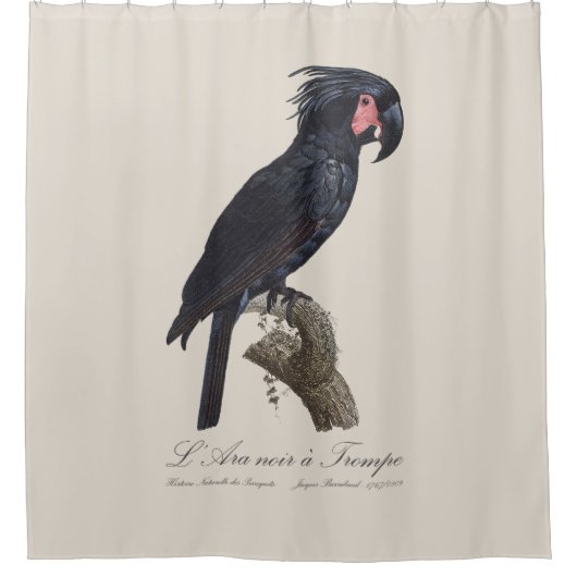 L' Ara Noir a Trompe シャワーカーテン (正面)