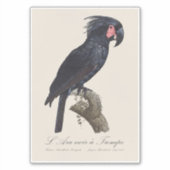 L' Ara Noir a Trompe シール (正面)