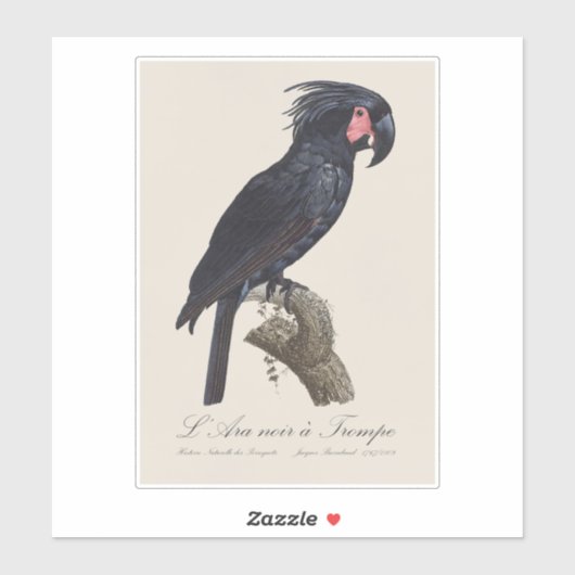 L' Ara Noir a Trompe シール (シート)